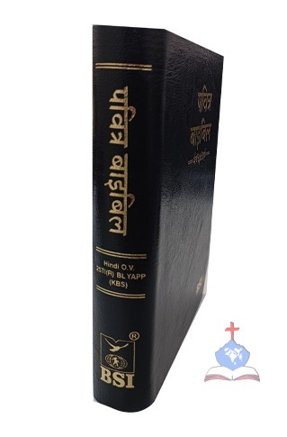 Hindi (OV 25) Compact Bible with Thumb Index
