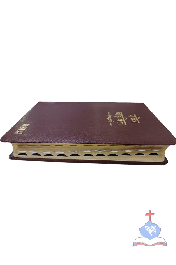 Hindi (OV 55) Regular Bible with Thumb Index, Bonded Leather, Burgundy